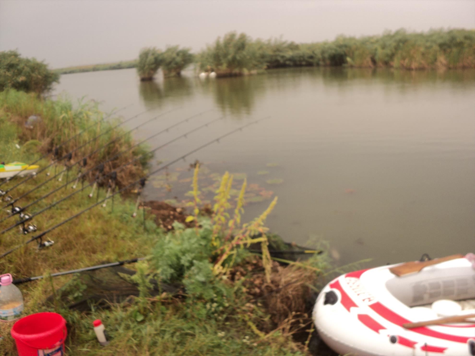 o mica parte din pesti de anul trecut - la galati